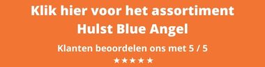 Hulst blue Angel kopen